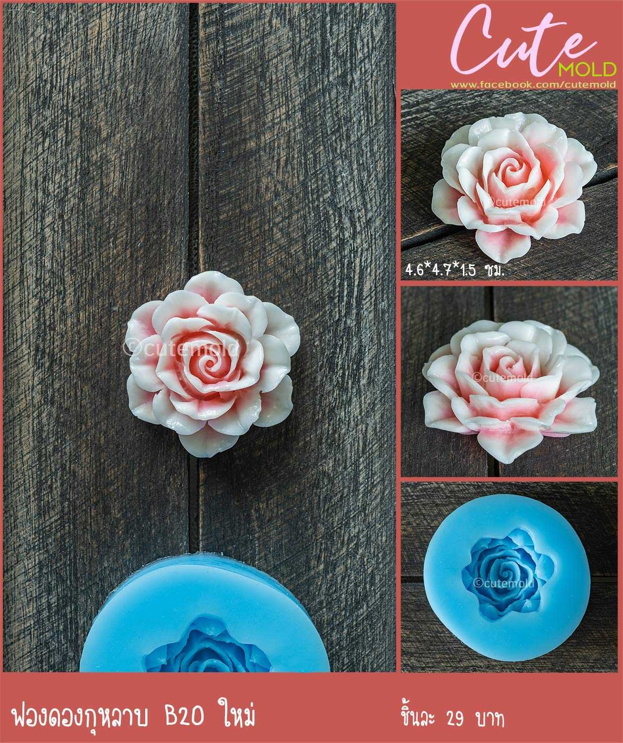 ฟองดองดอกกุหลาบ B20  ใหม่