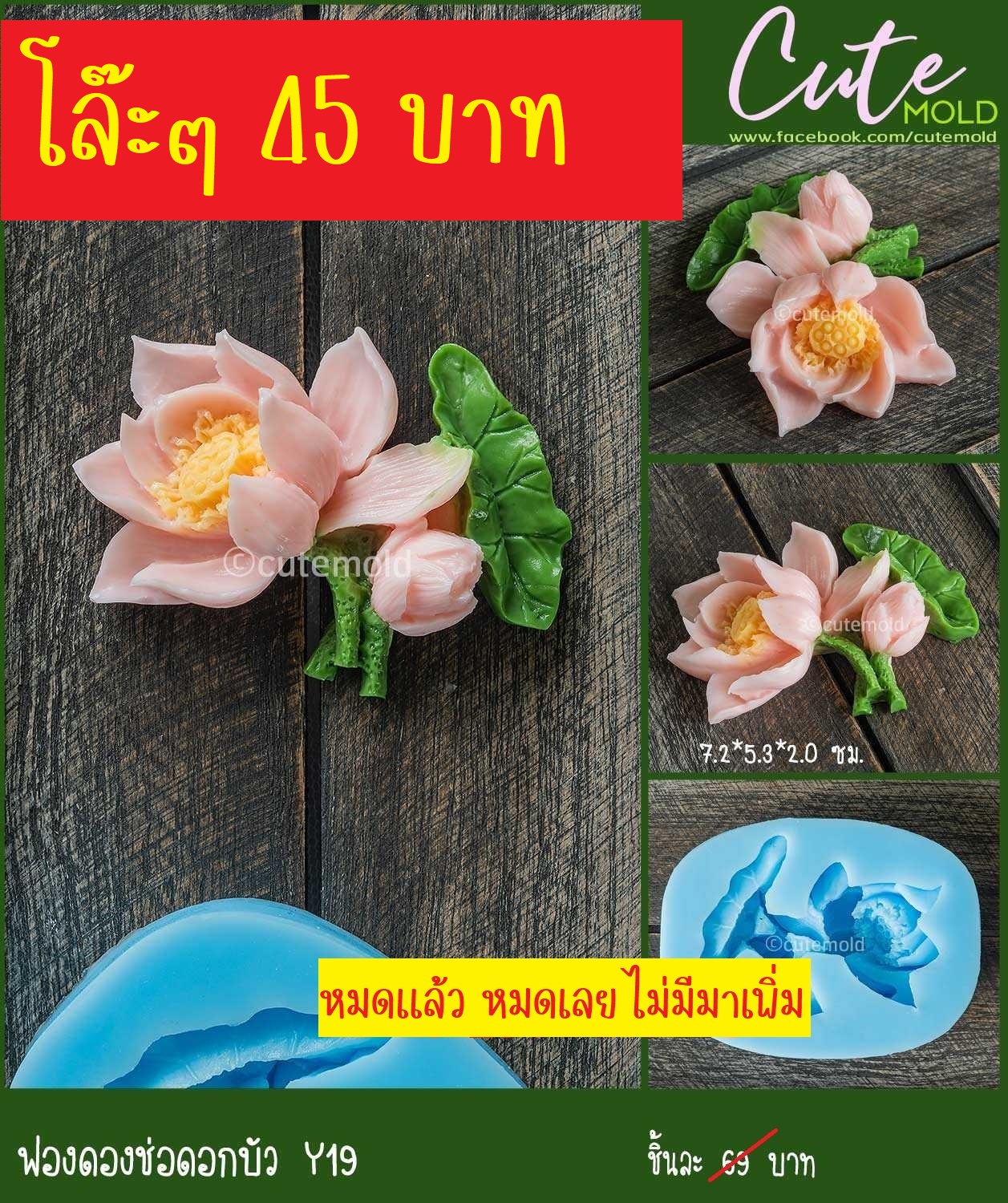 ฟองดองช่อดอกบัว -- Y19