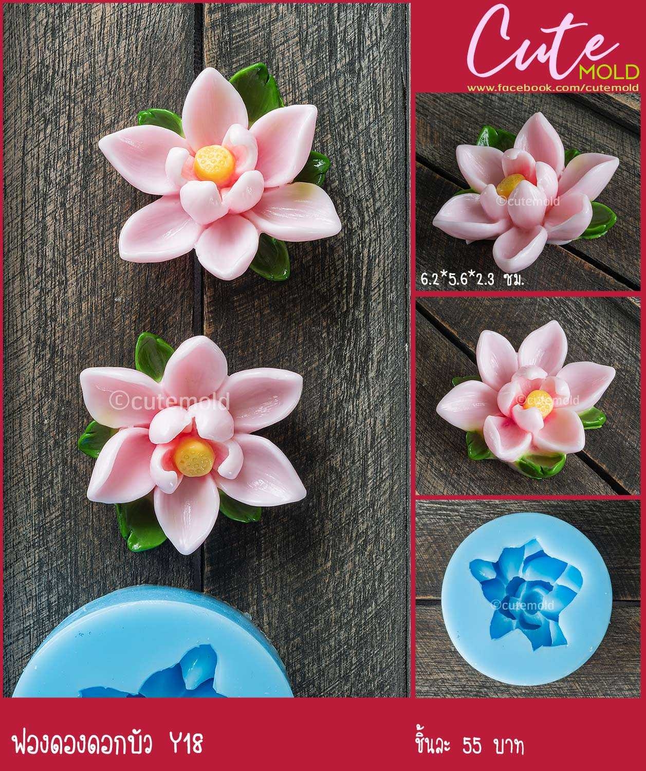 ฟองดองดอกบัว -- Y18