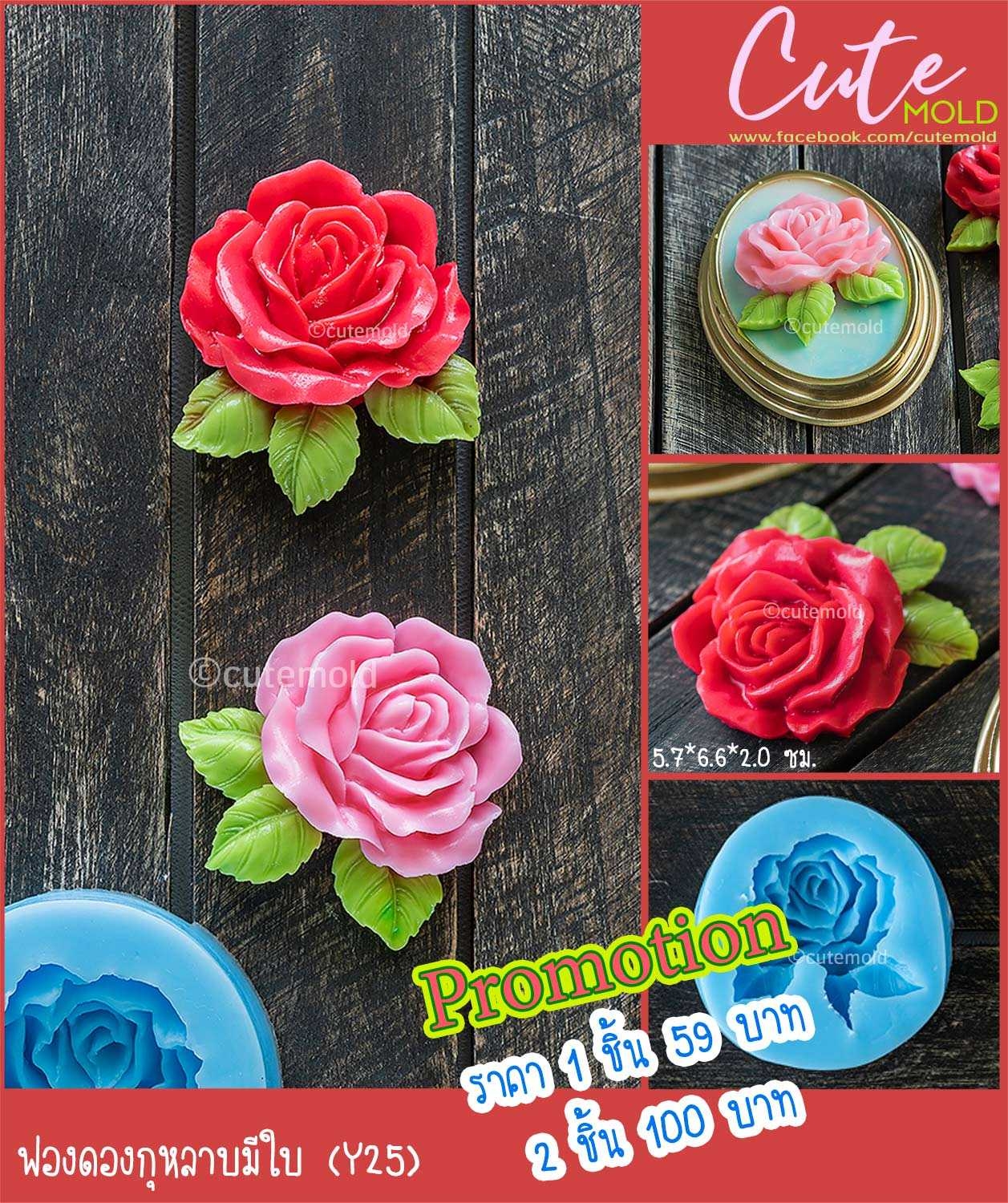 ฟองดองกุหลาบมีใบ Y25 [3 ขึ้นไป 39]