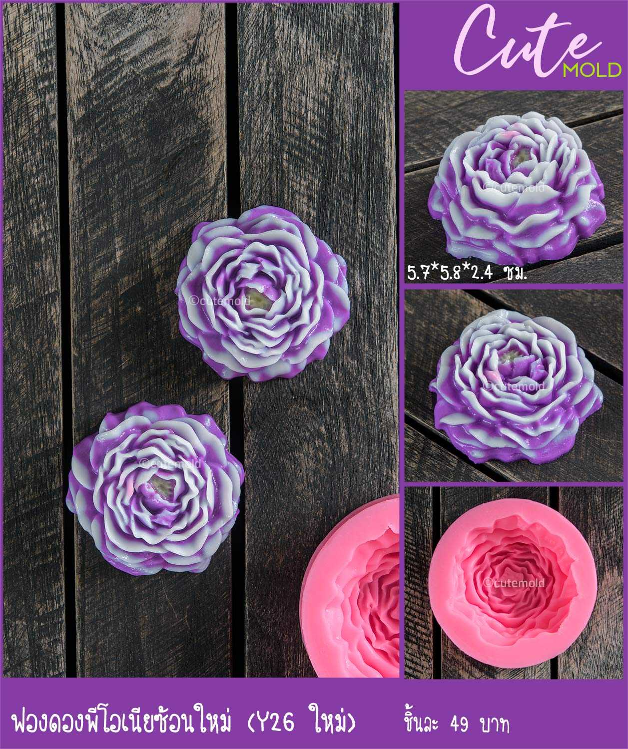 ฟองดองดอกพีโอเนียซ้อน (Y26 ใหม่)