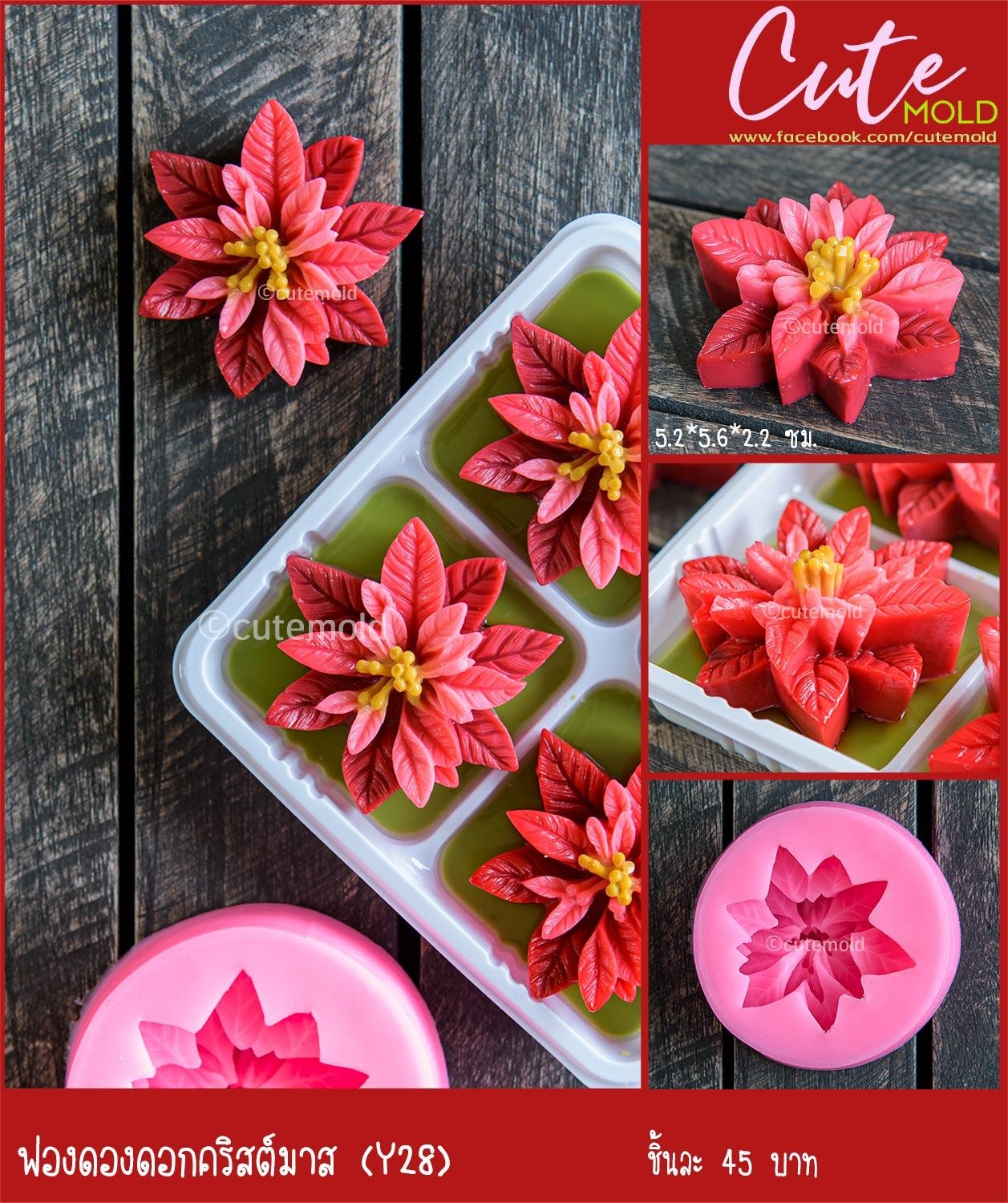 ฟองดองดอกคริสต์มาส Y28