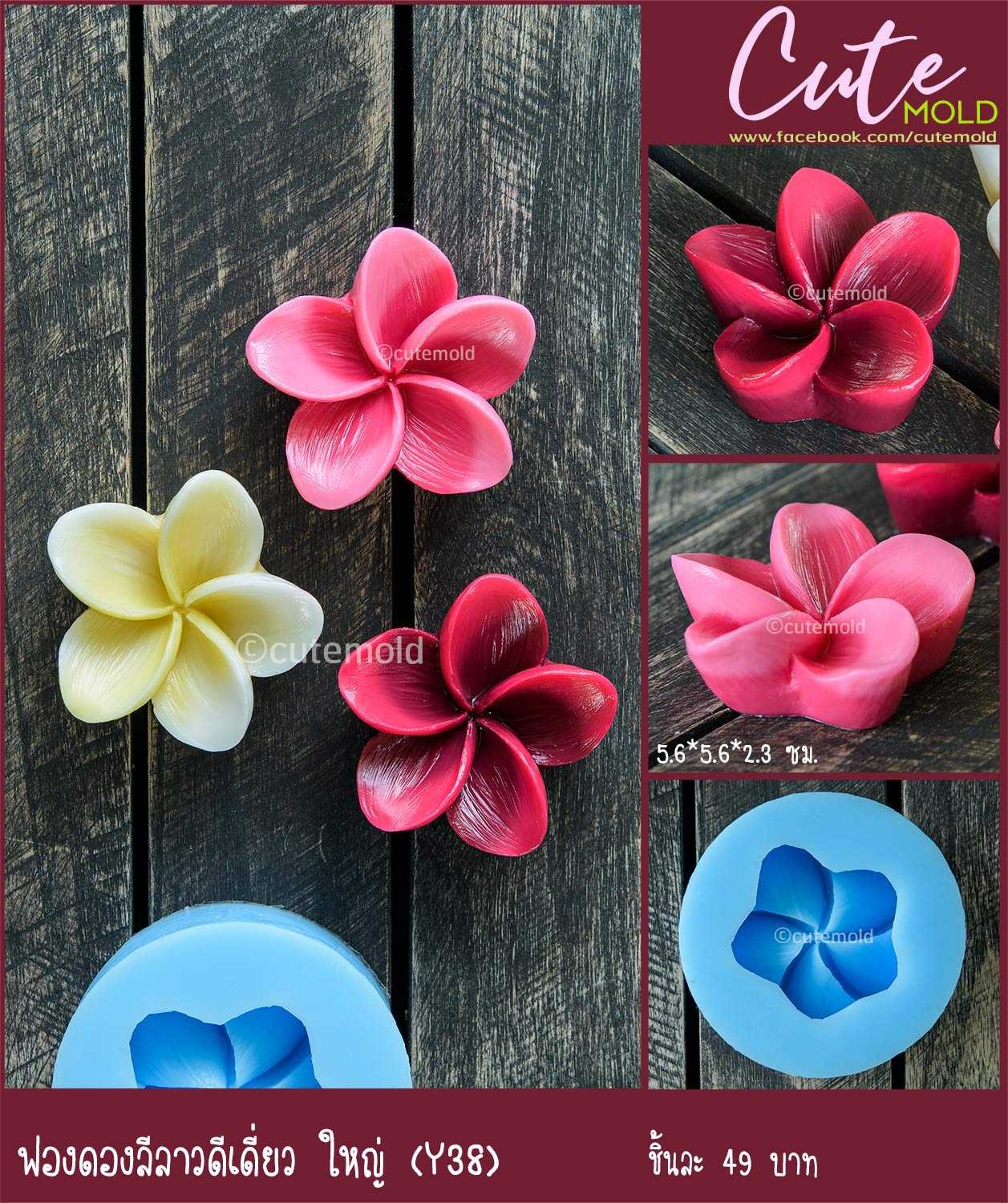 ฟองดองลีลาวดีเดี่ยว ใหญ่ Y38