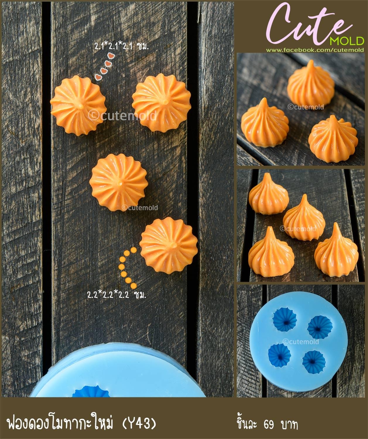 ฟองดองโมทากะใหม่ Y43