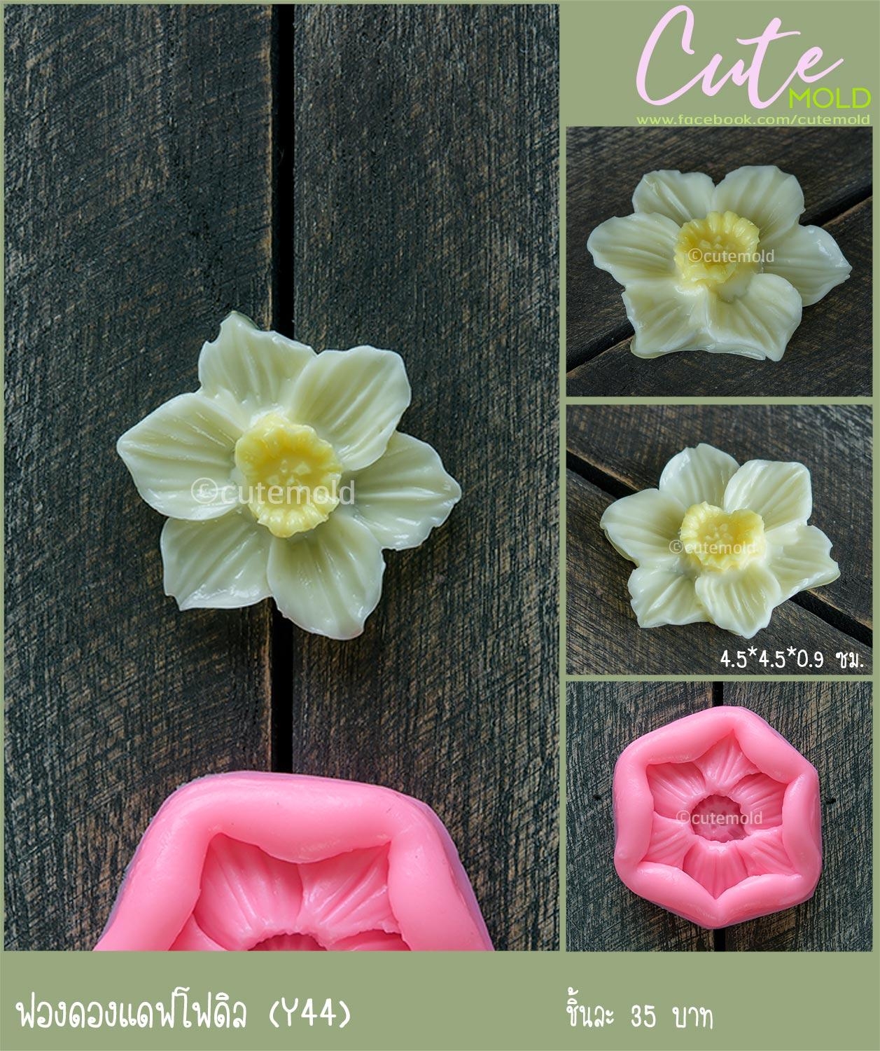 ฟองดองแดฟโฟดิล Y44