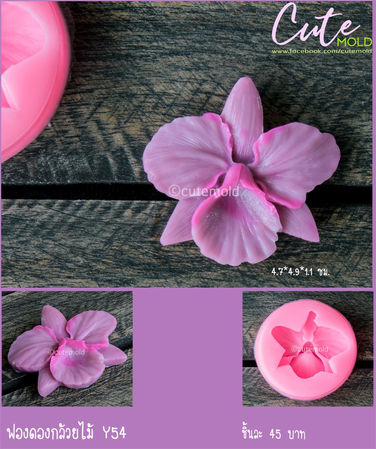 ฟองดองกล้วยไม้ Y54