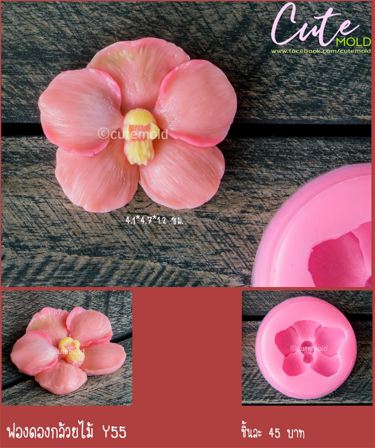 ฟองดองกล้วยไม้ Y55