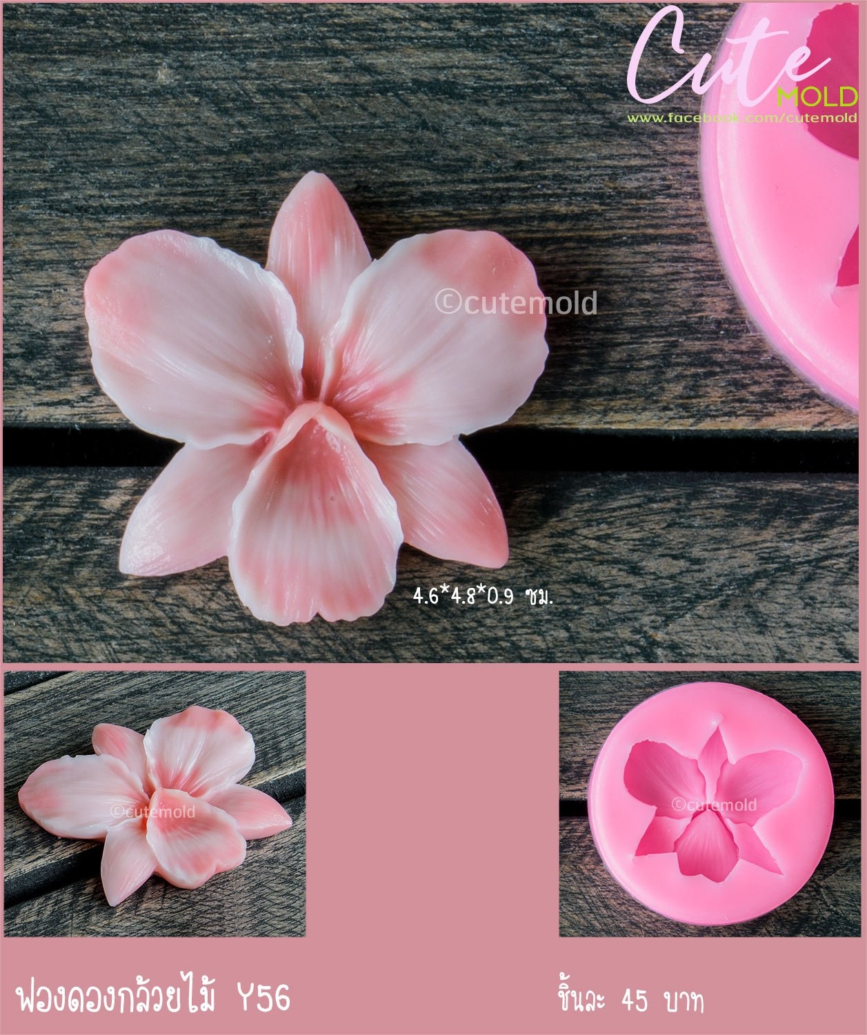 ฟองดองกล้วยไม้ Y56