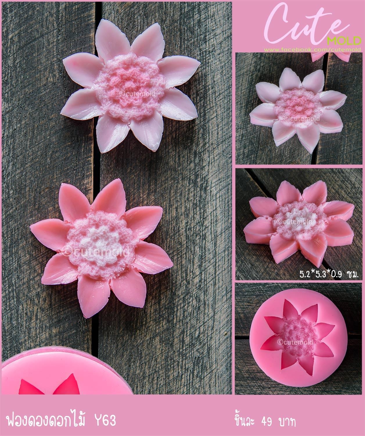 ฟองดองดอกไม้ Y63