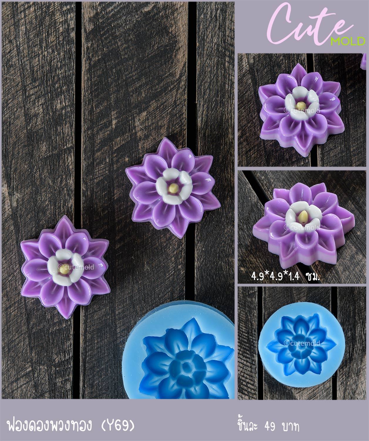 ฟองดองพวงทอง Y69