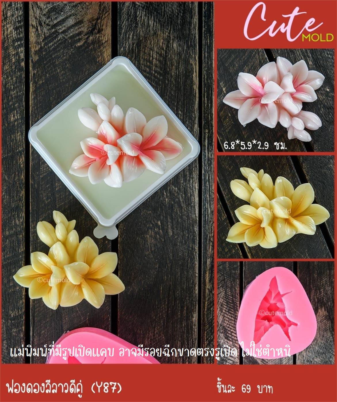 Sale ฟองดองลีลาวดีคู่ Y87