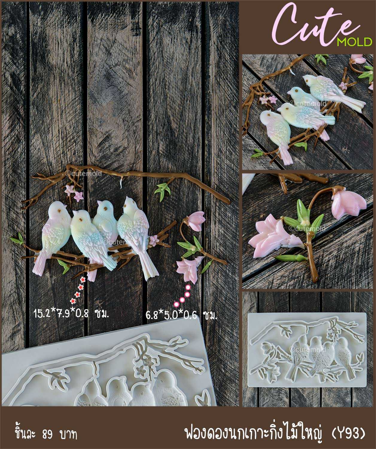 ฟองดองนกเกาะกิ่งไม้ใหญ่ Y93