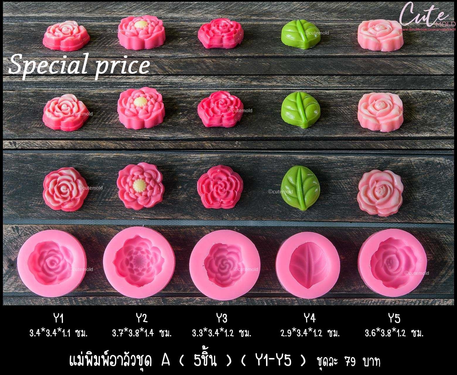 แม่พิมพ์อาลัวชุด A (5 ชิ้น) (Y1-Y5)