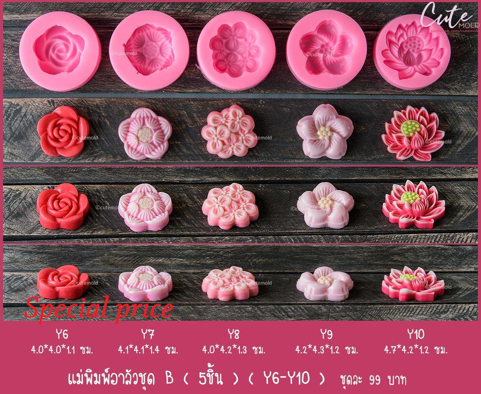 แม่พิมพ์อาลัวชุด B (5 ชิ้น) (Y6-Y10)