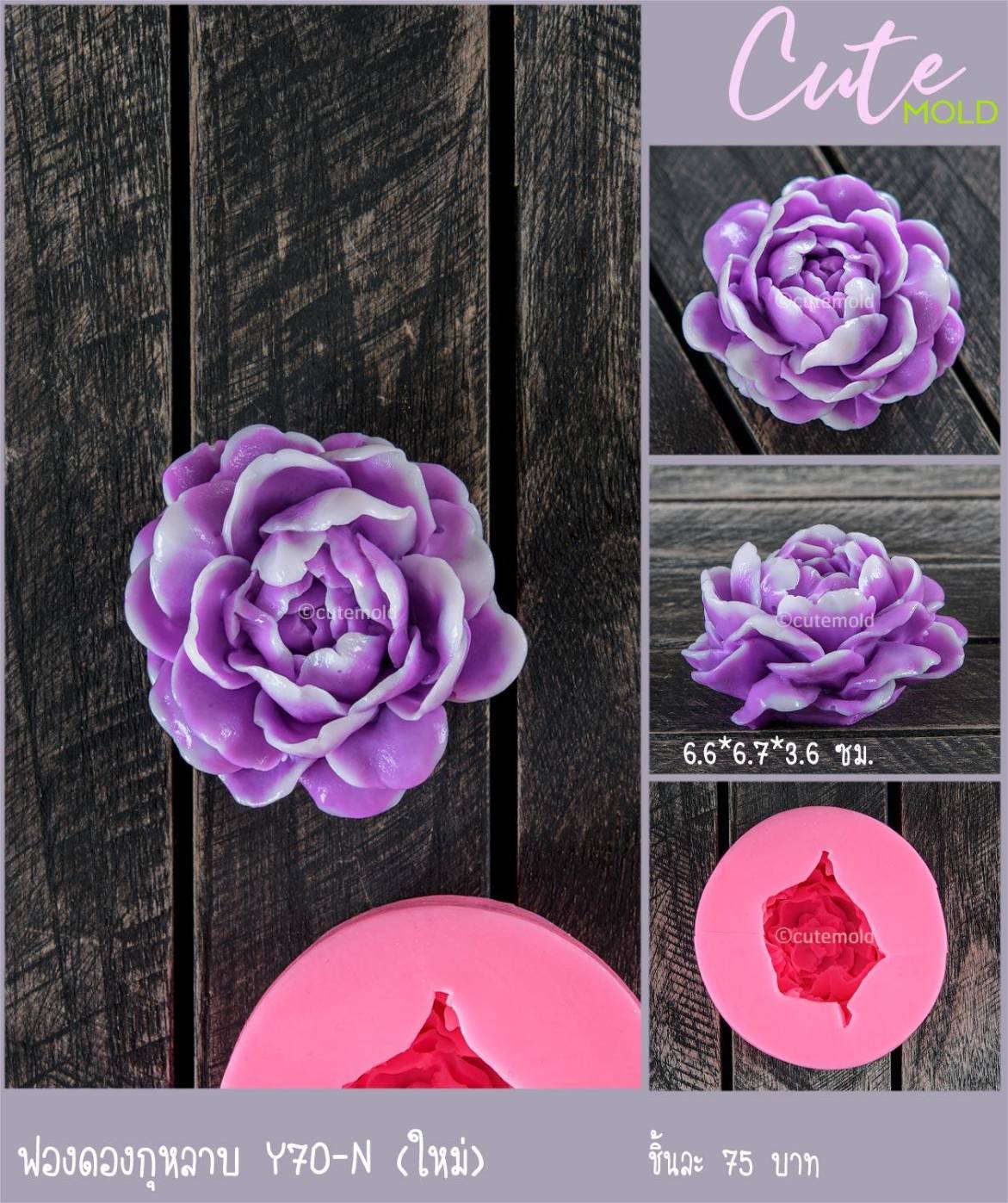 ฟองดองกุหลาบชั้น Y70 -N ใหม่