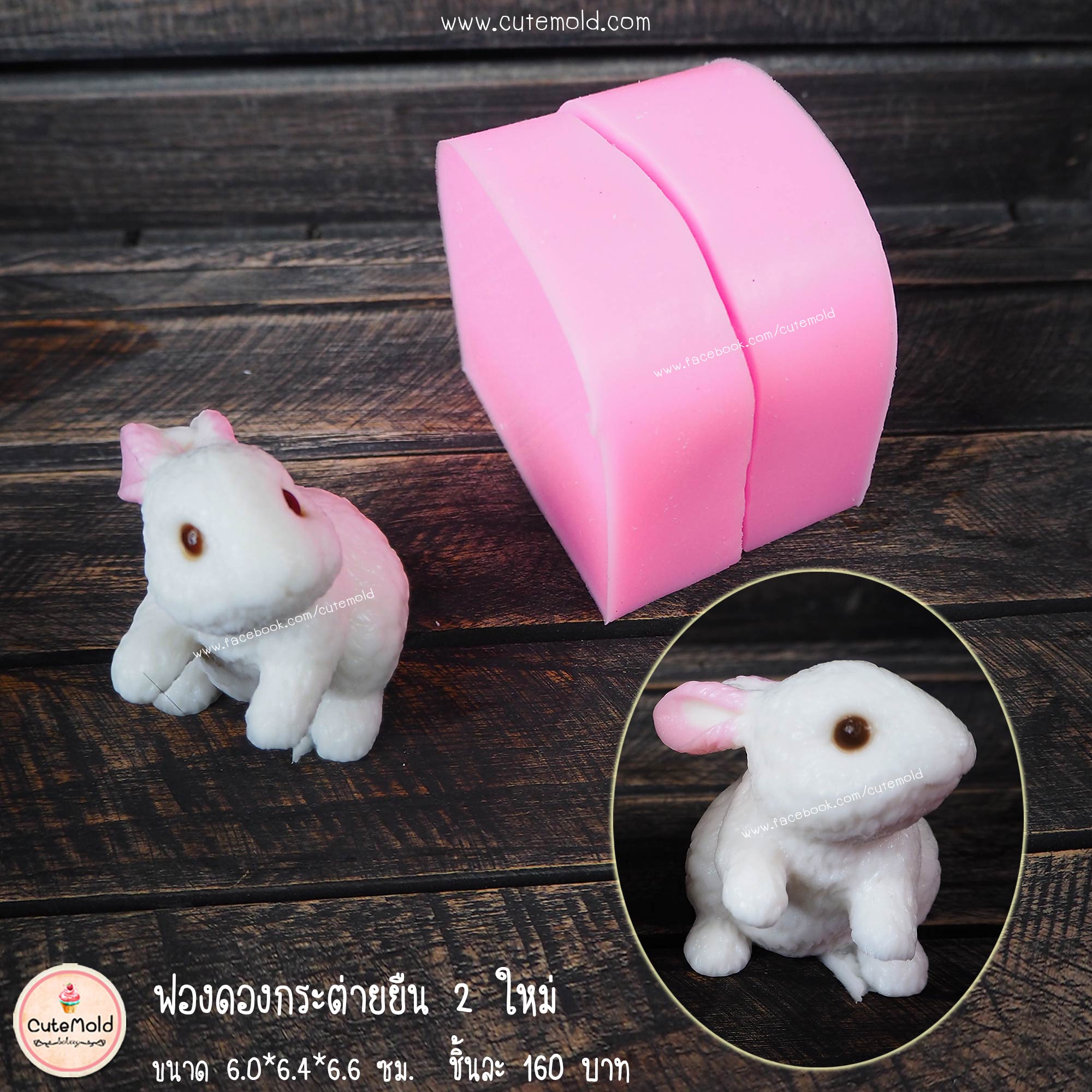 ฟองดองกระต่ายยืน 2 ใหม่