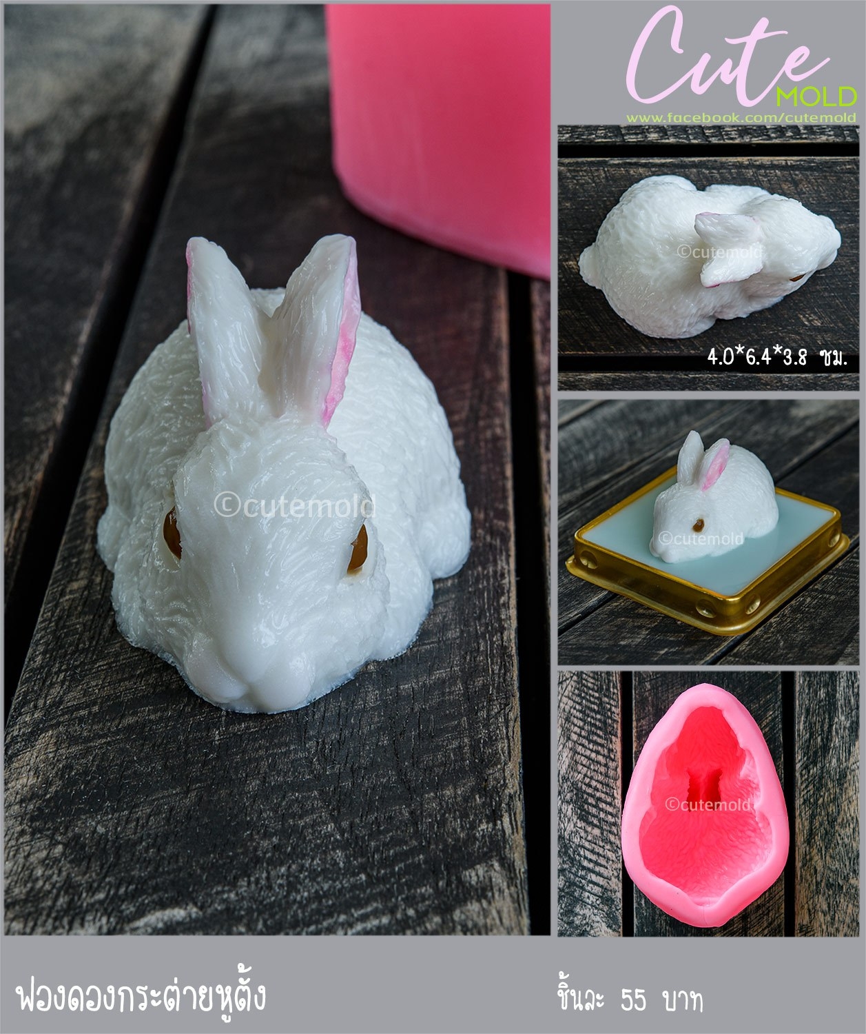 ฟองดองกระต่ายหูตั้ง