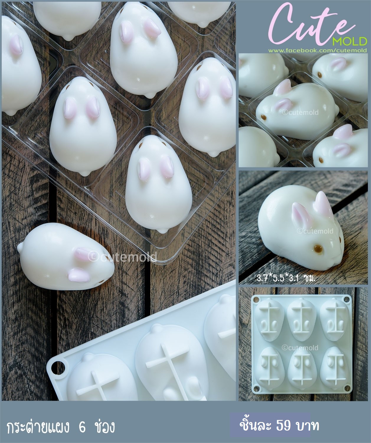 กระต่ายแผง 6 ช่อง