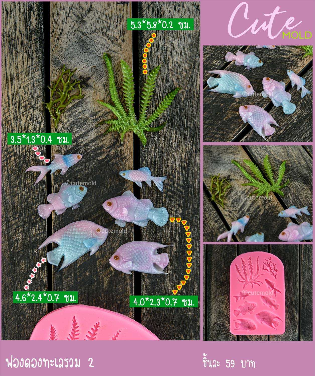 ฟองดองทะเลรวม 2