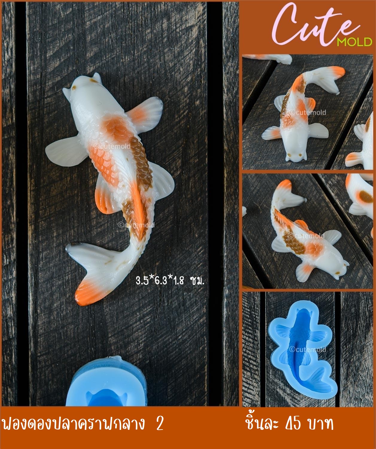 ฟองดองปลาคาร์ฟกลาง 2