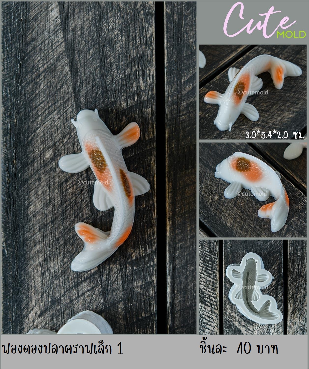 ฟองดองปลาคาร์ฟเล็ก 1