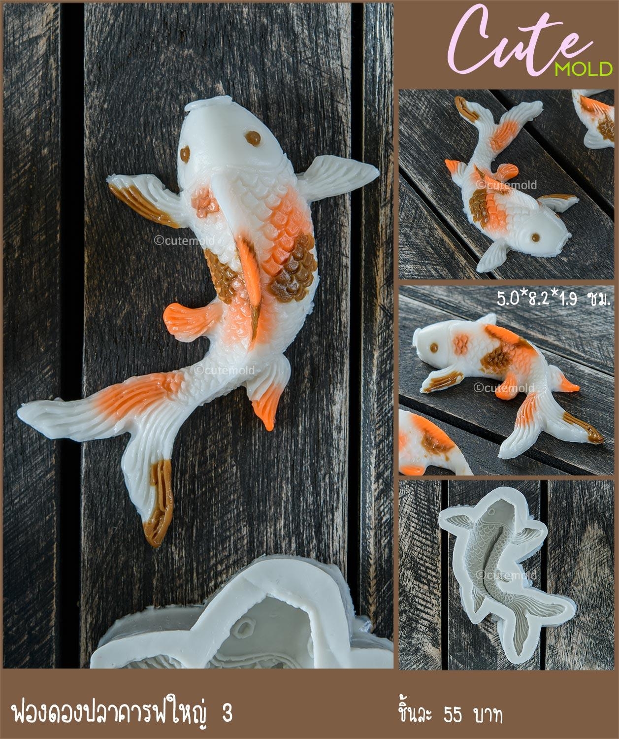 ฟองดองปลาคาร์ฟใหญ่ 3