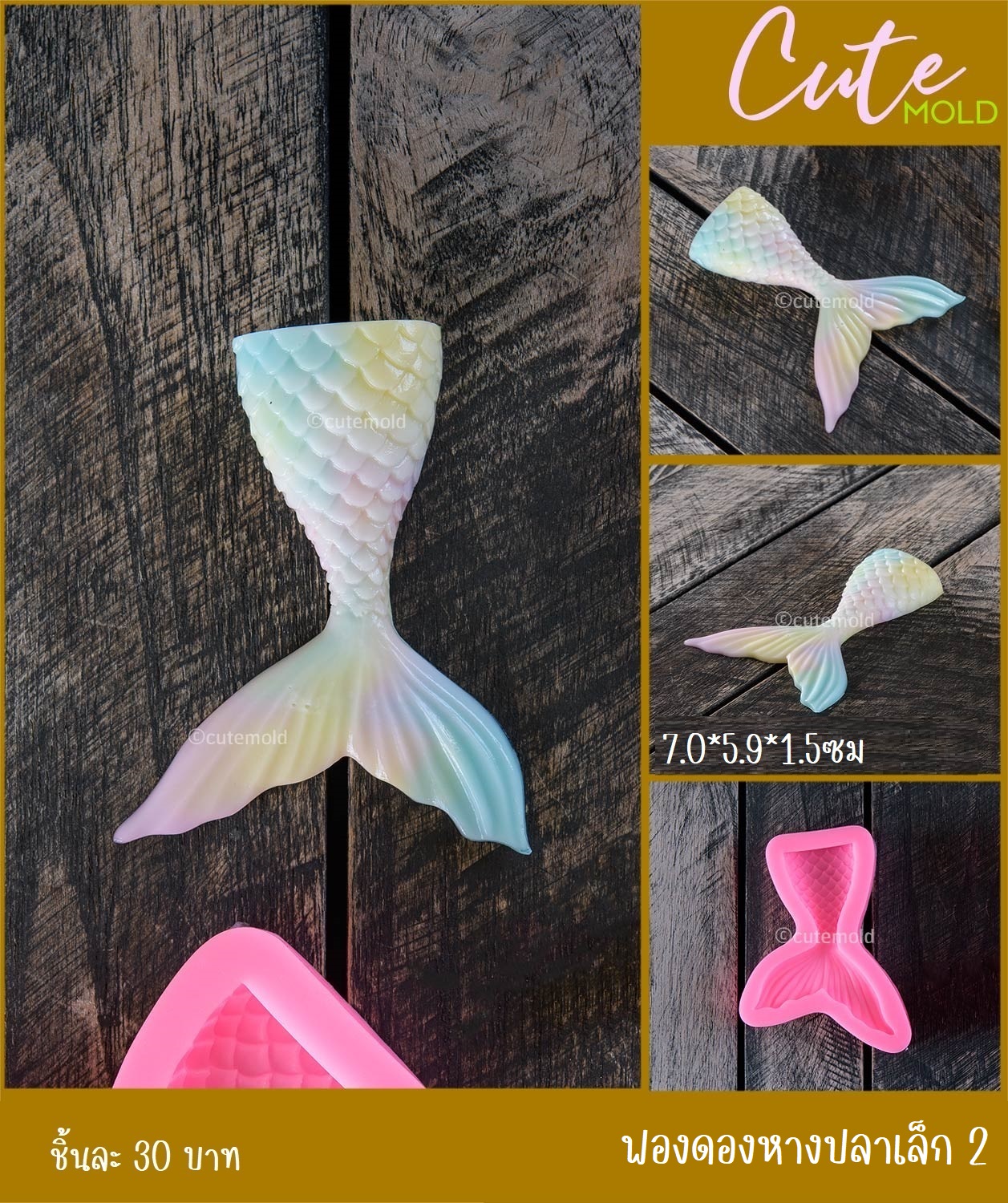 ฟองดองหางปลาเล็ก 2