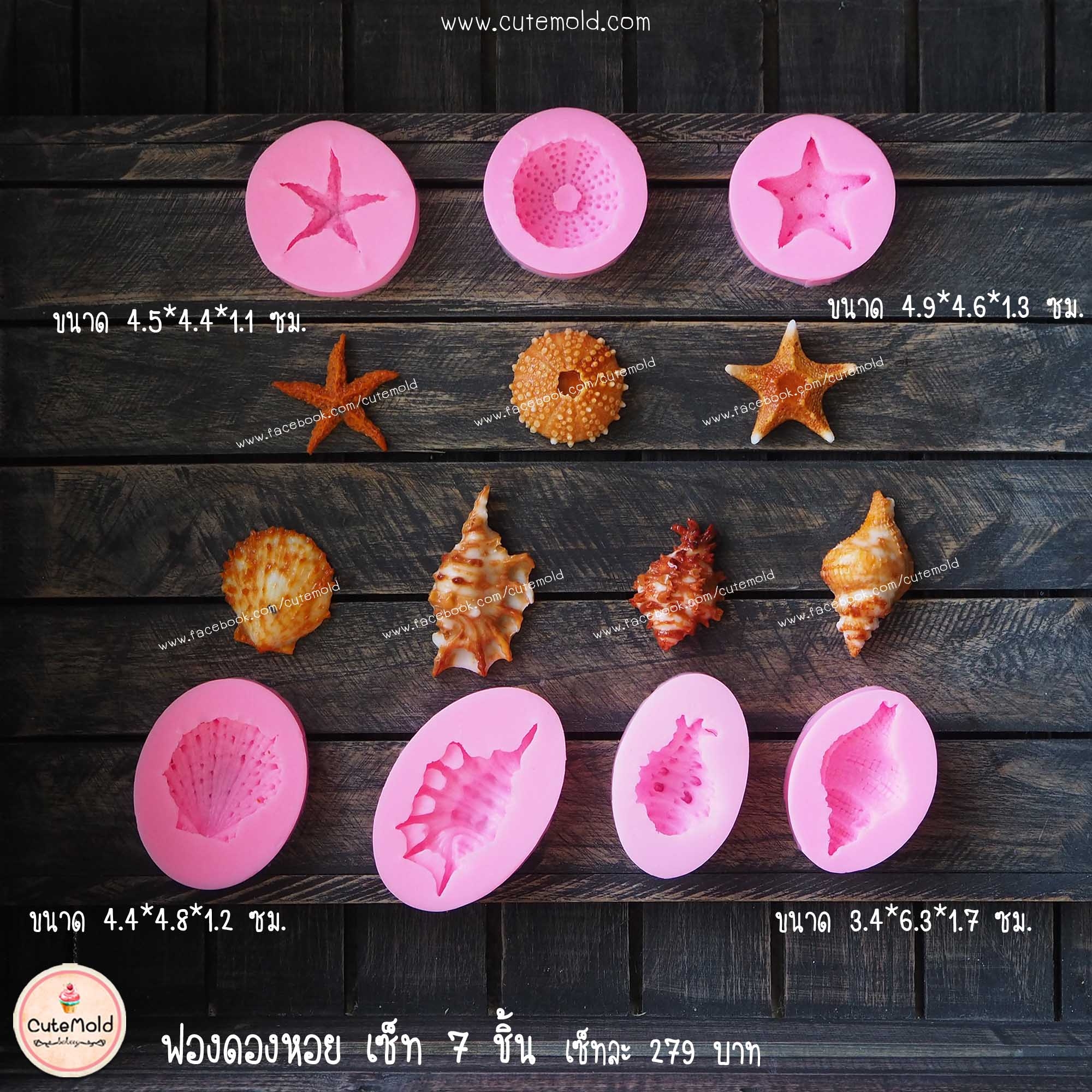 ฟองดองหอยเซต 7 ชิ้น