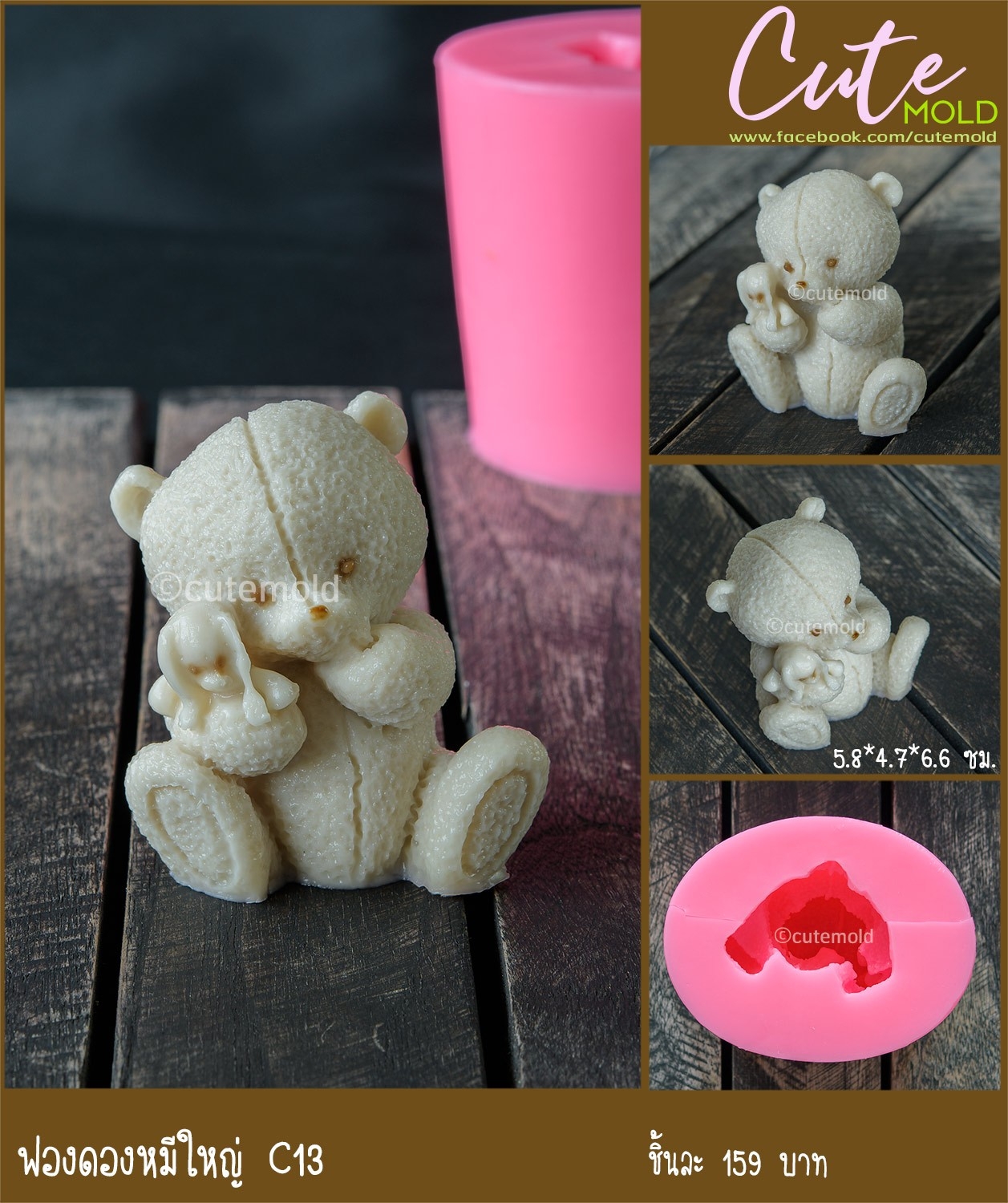 ฟองดองหมีใหญ่ C13