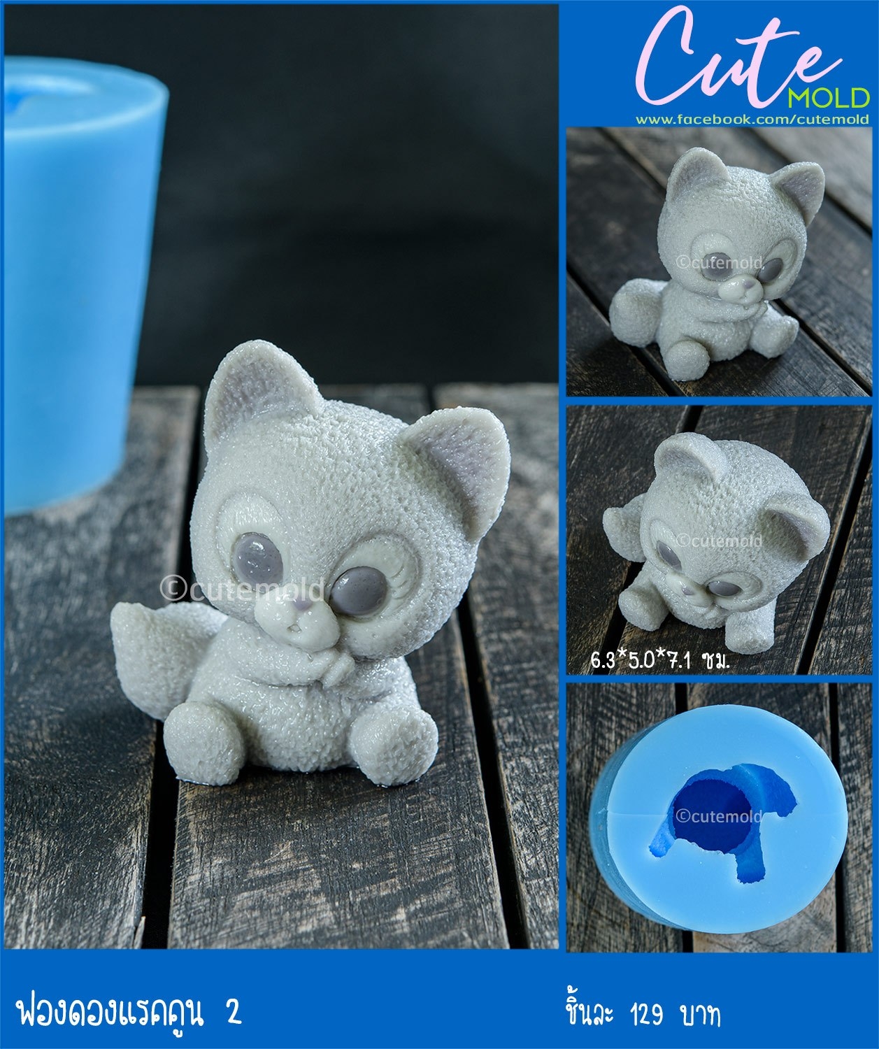 ฟองดองแรคคูน 2