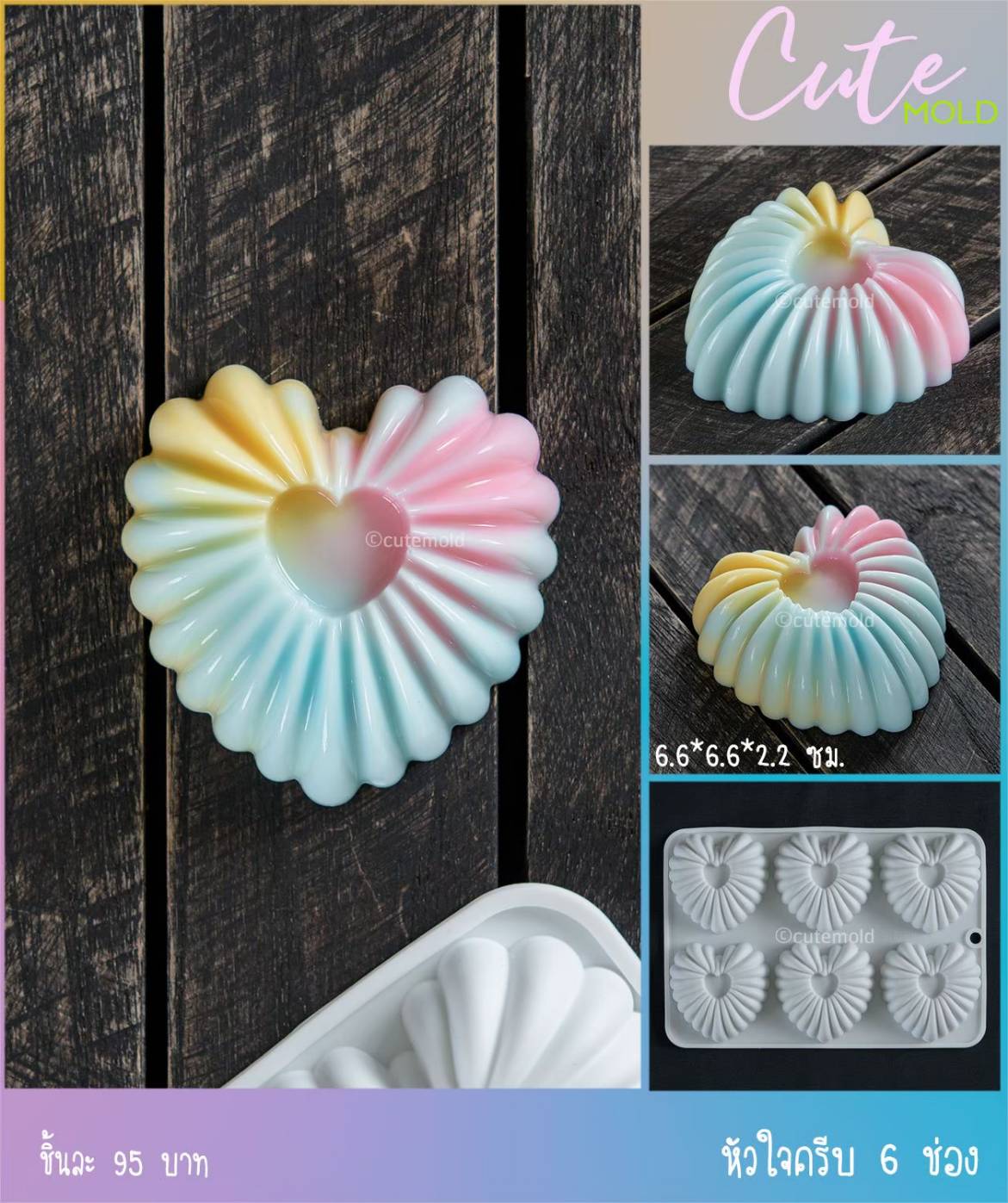 หัวใจครีบ 6 ช่อง