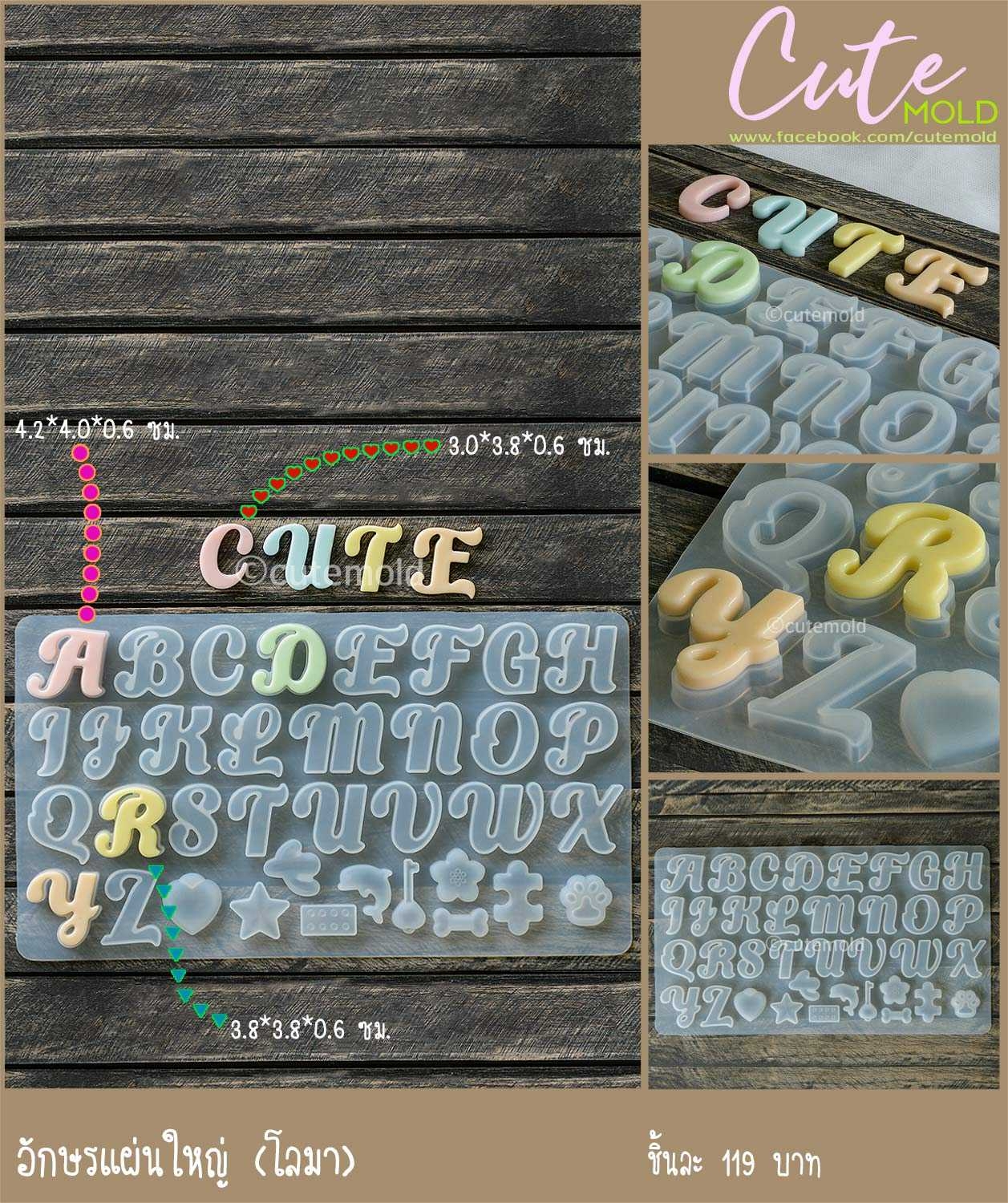 แม่พิมพ์ อักษรแผ่นใหญ่ (โลมา)