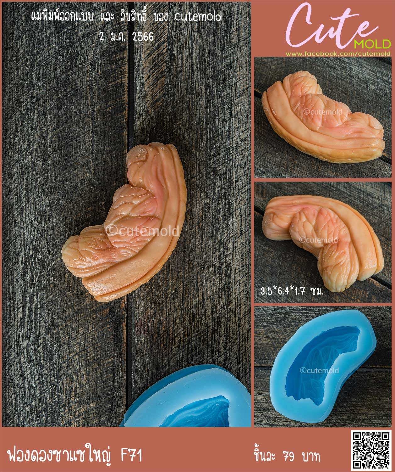 ซาแซใหญ่  F71