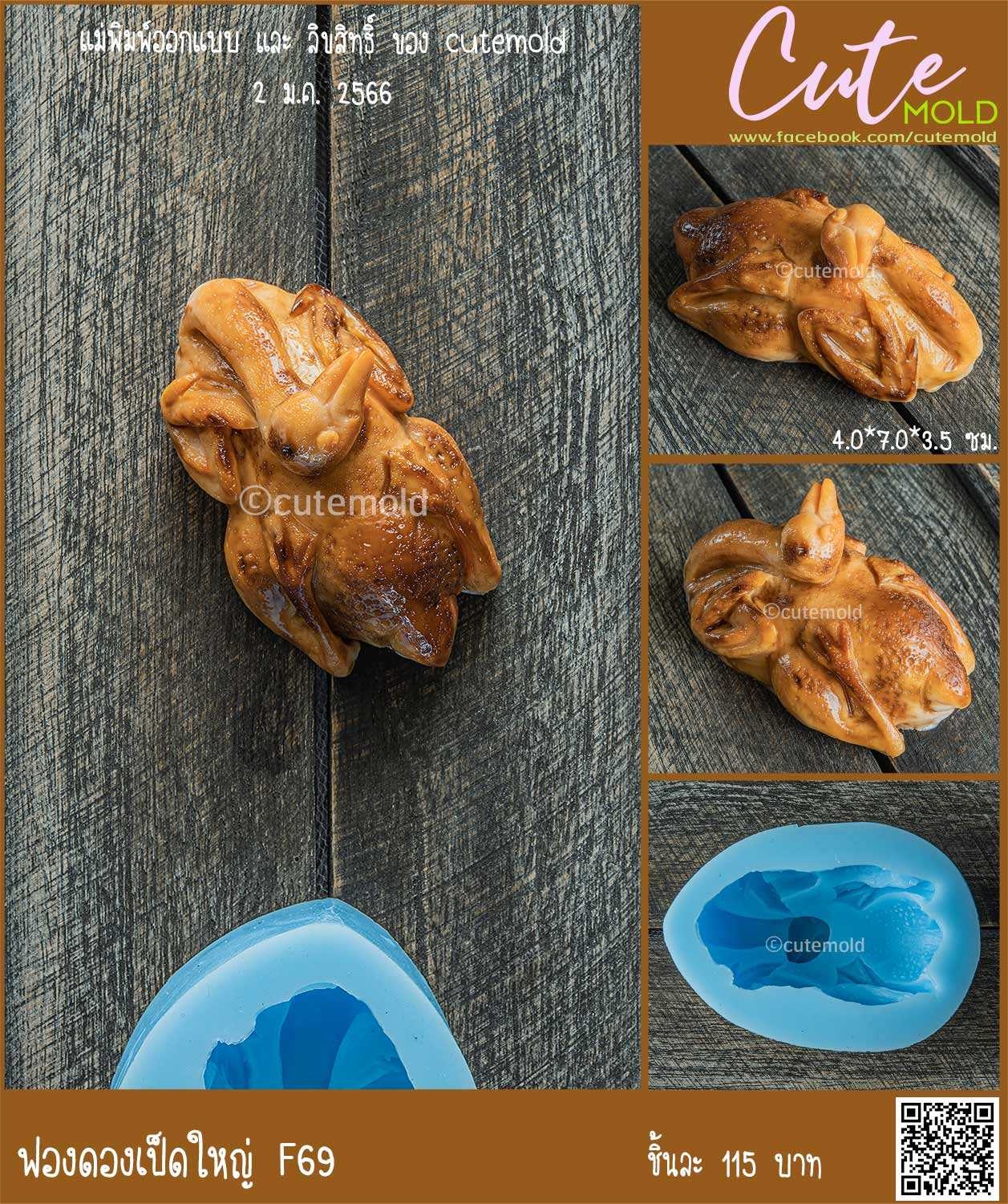 เป็ดใหญ่ --F69--