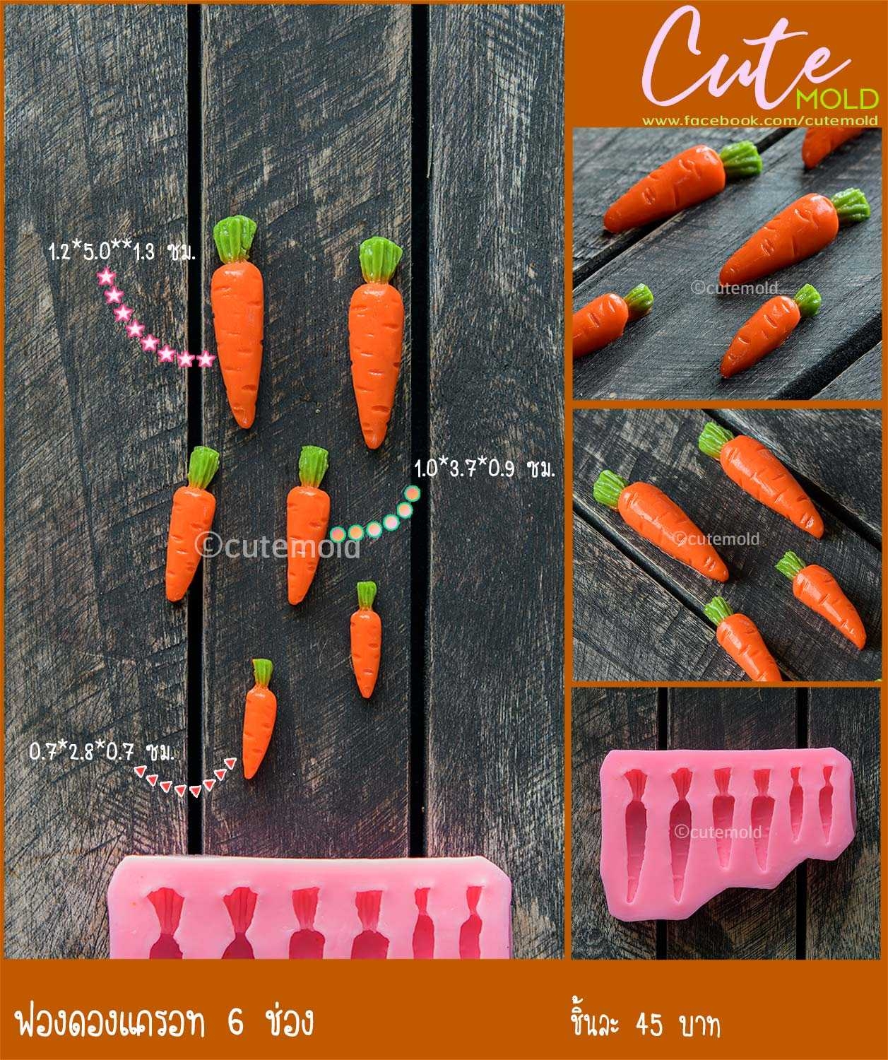 ฟองดองแครอท 6 ช