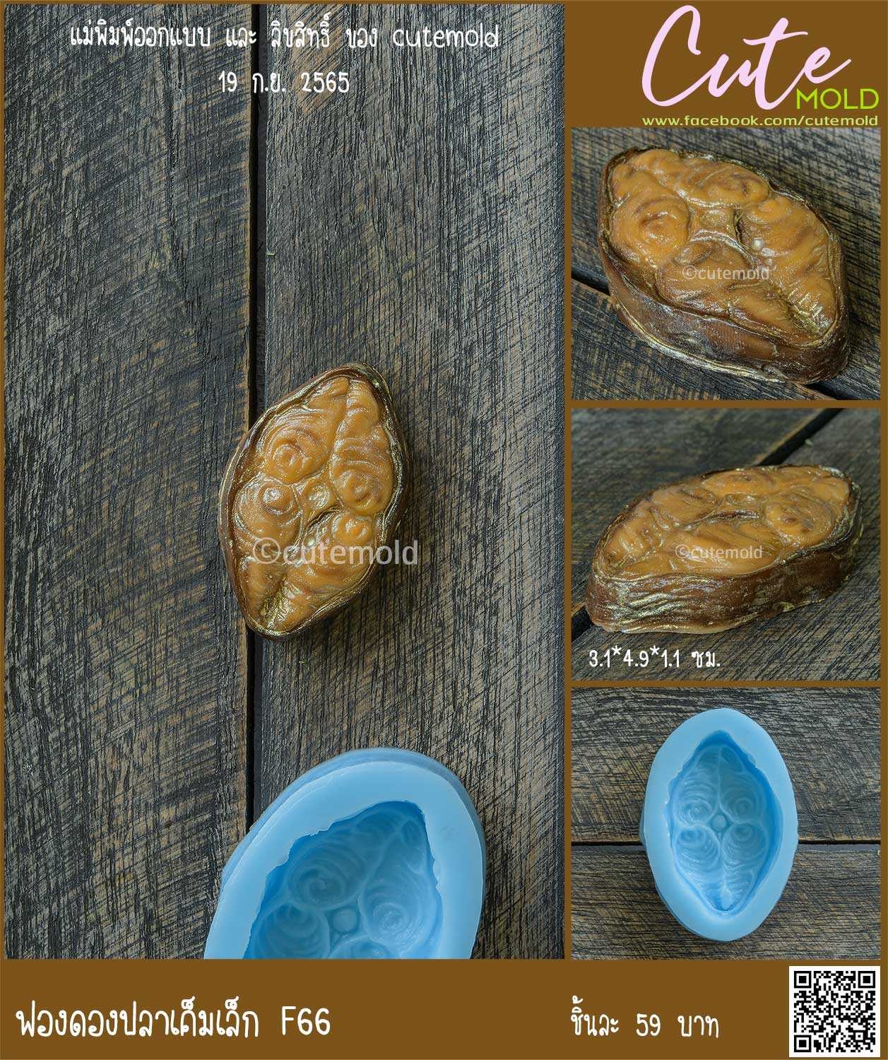 ปลาเค็มเล็ก F66