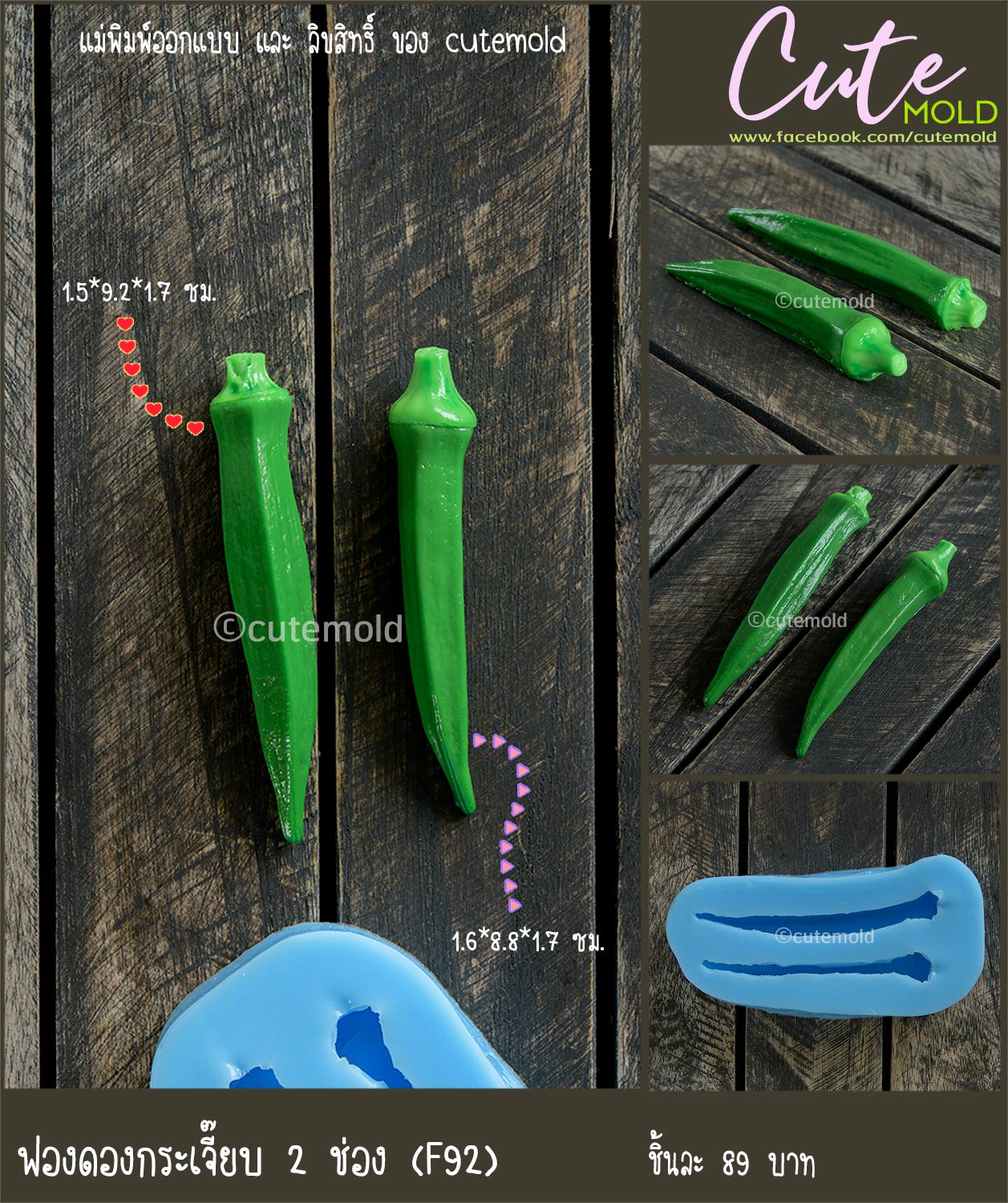 ฟองดองกระเจี๊ยบ 2 ช่อง F92