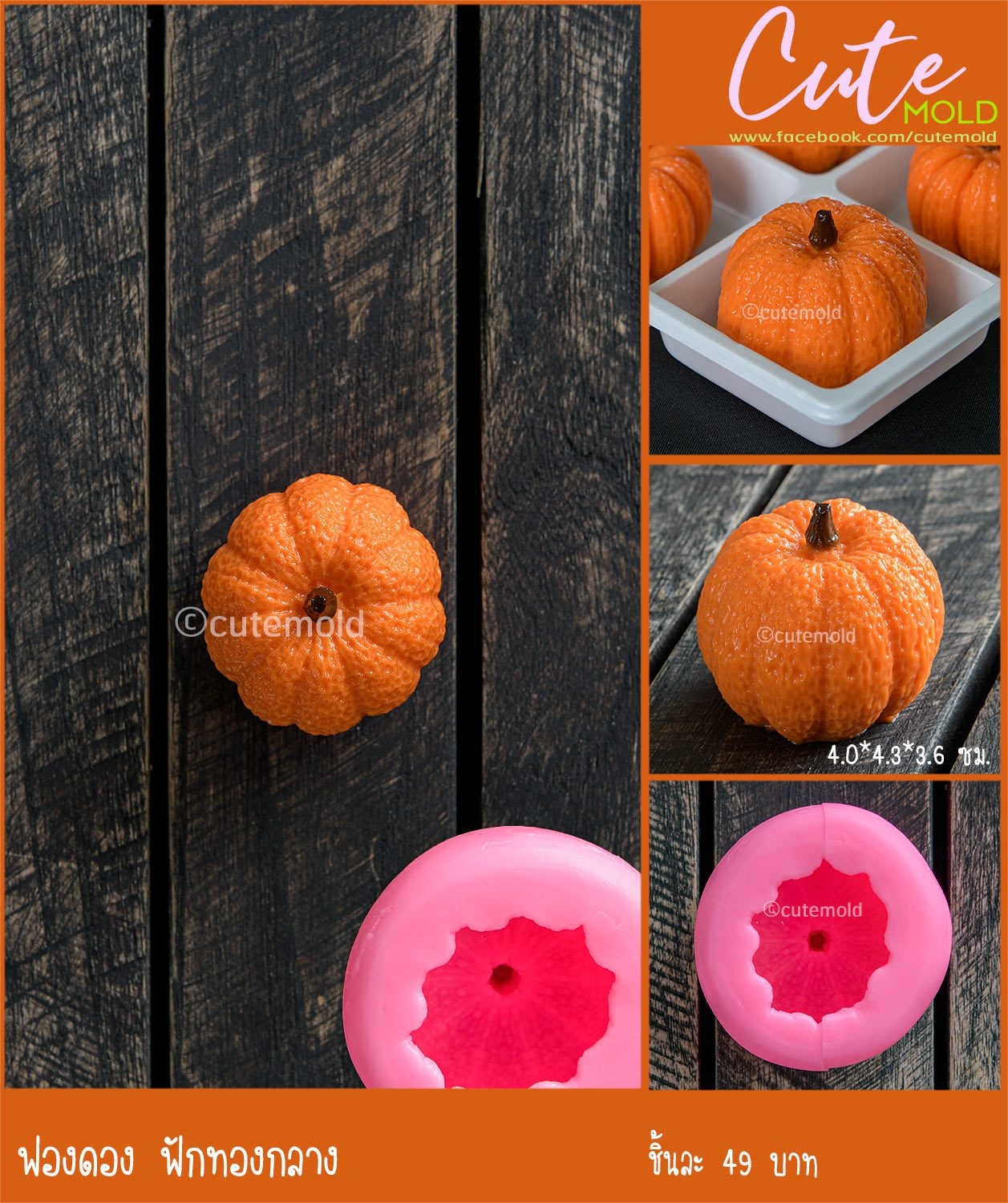 ฟองดอง ฟักทองกลาง