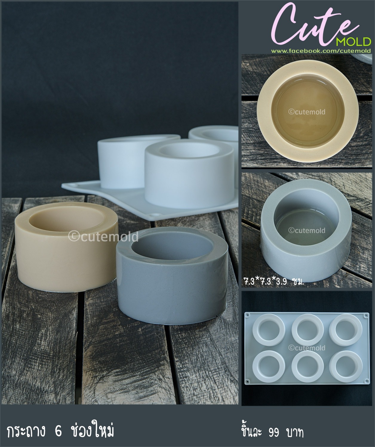 กระถาง 6 ช่องใหม่