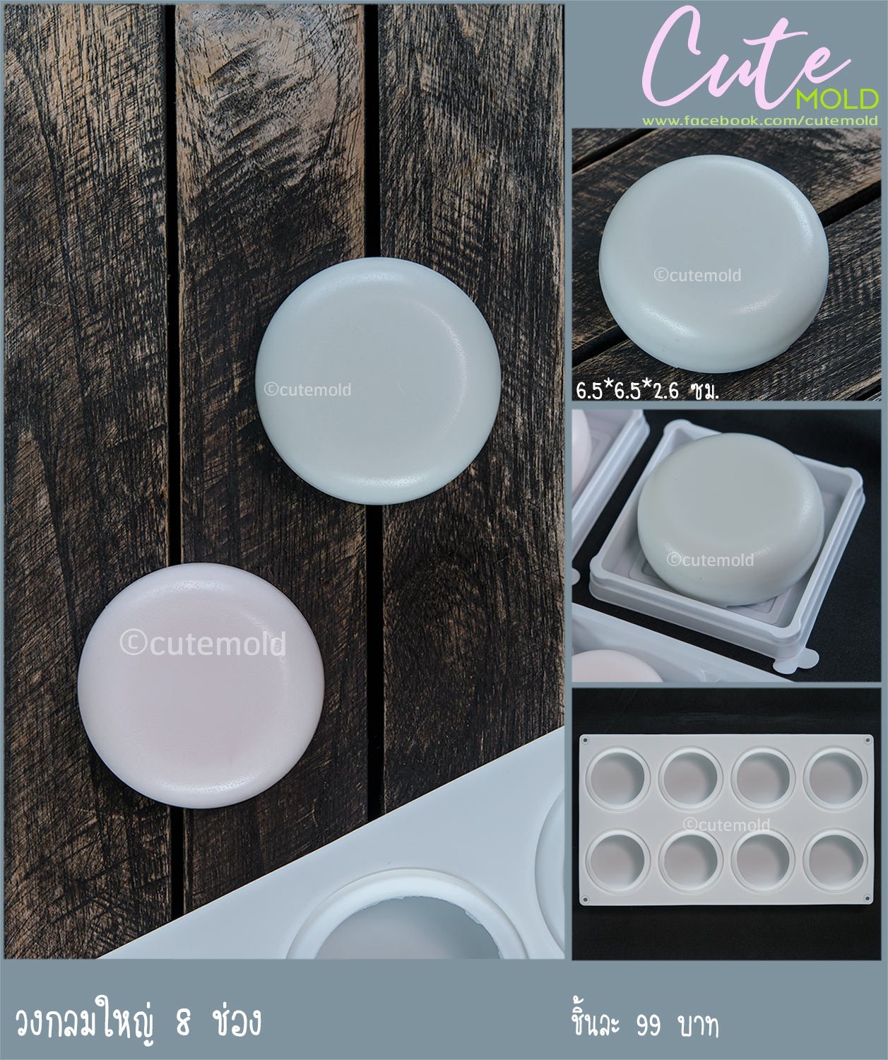 วงกลมใหญ่ 8 ช่อง