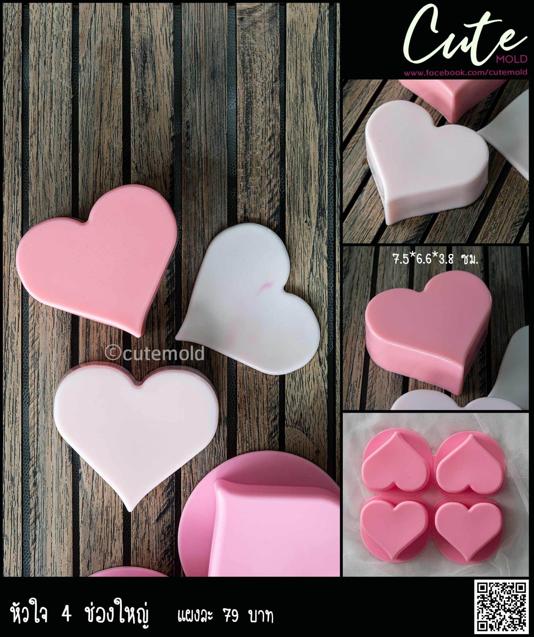 หัวใจ 4 ช่องใหญ่