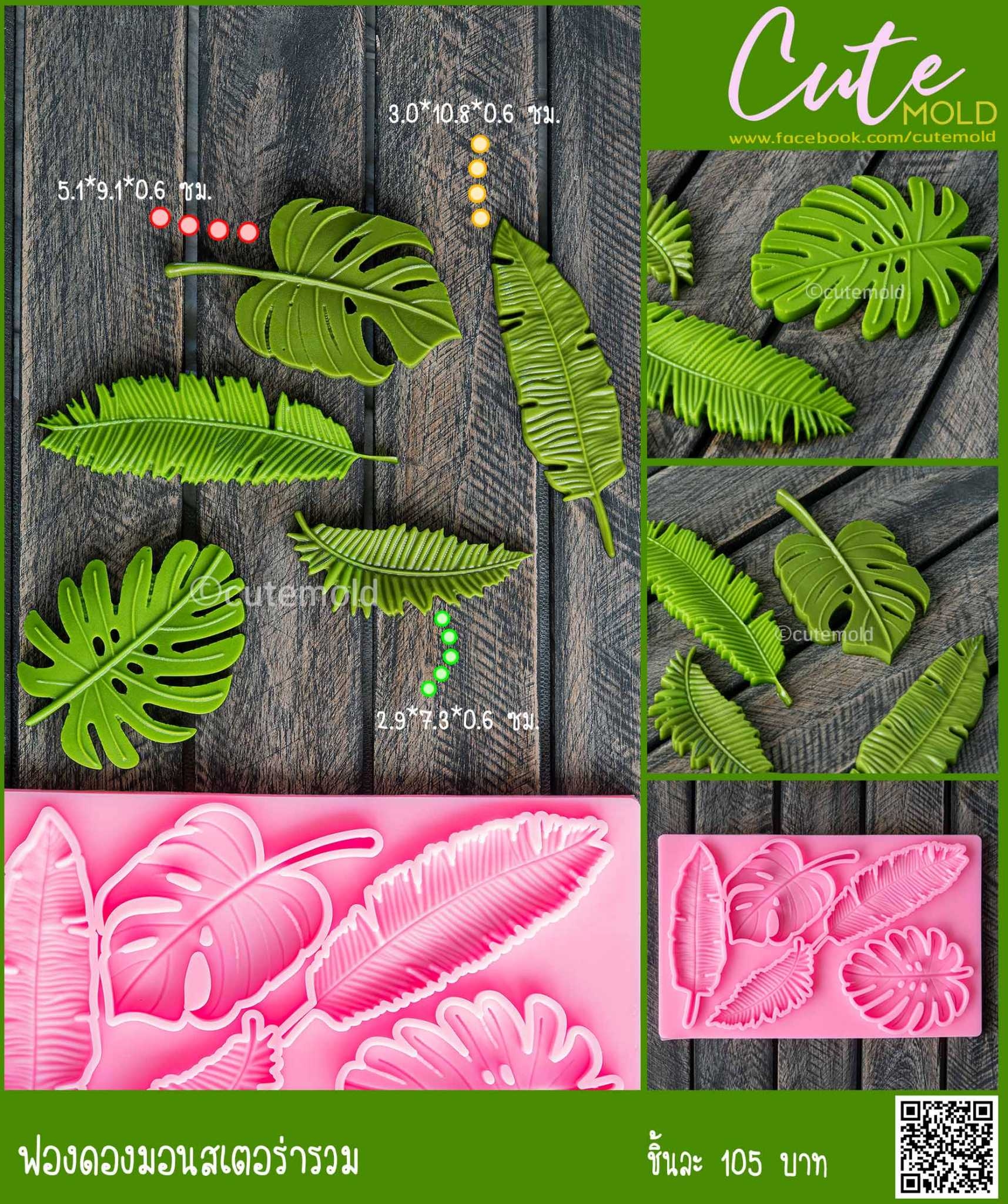 ฟองดองมอนสเตอร่ารวม