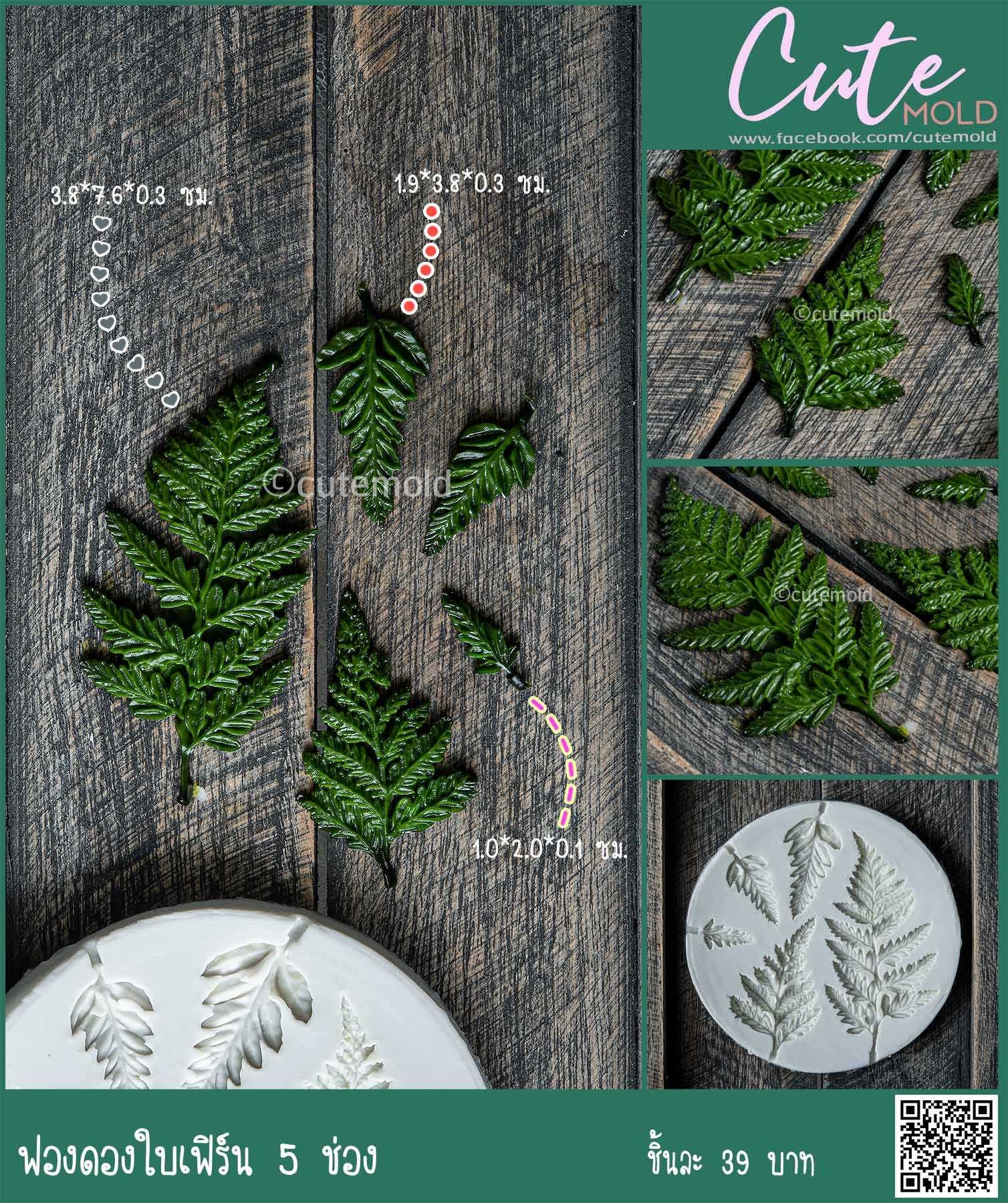 ฟองดองใบเฟิร์น 5 ช่อง