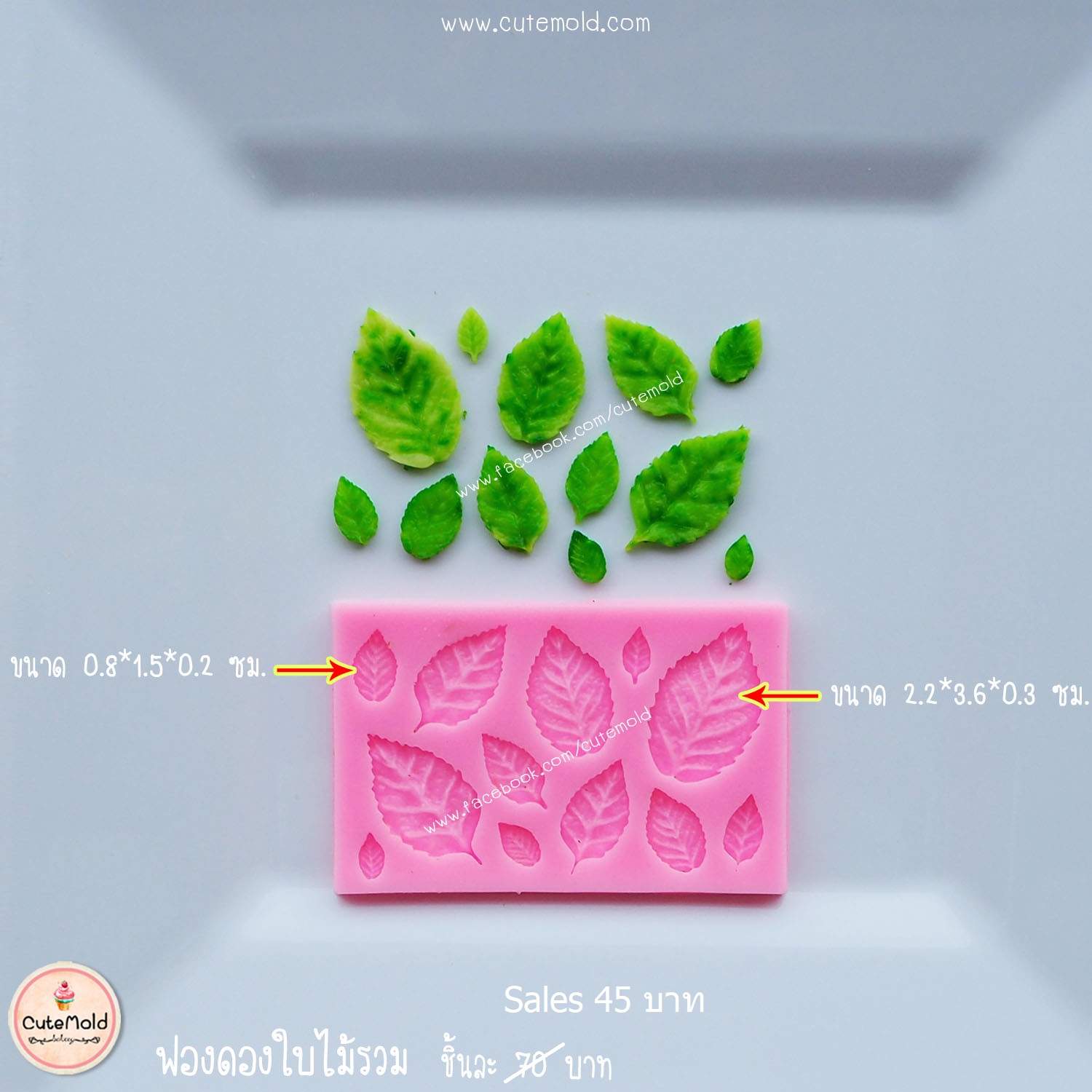 ฟองดองใบไม้รวม