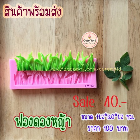 ฟองดองหญ้า