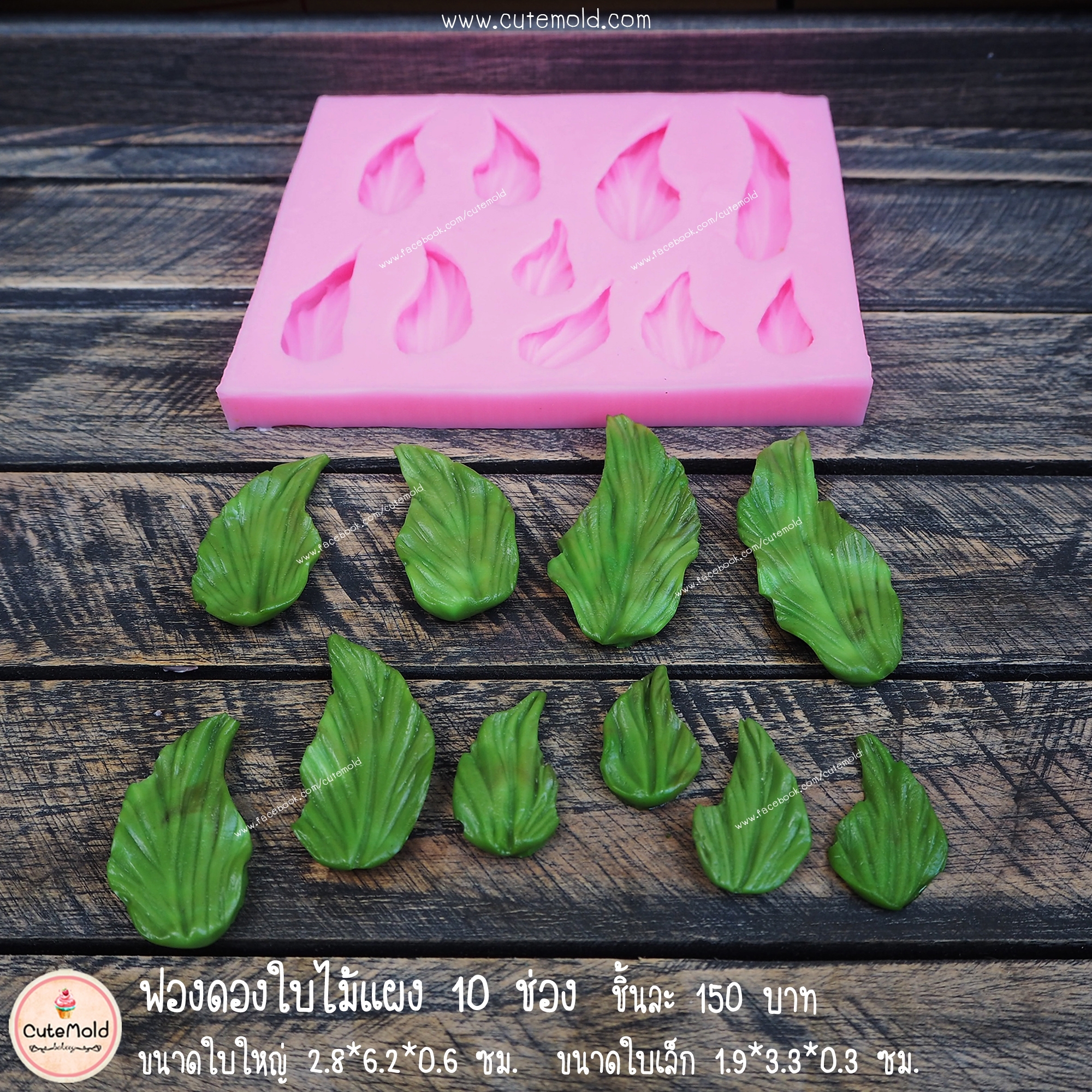 ฟองดองใบไม้แผง 10 ช่อง