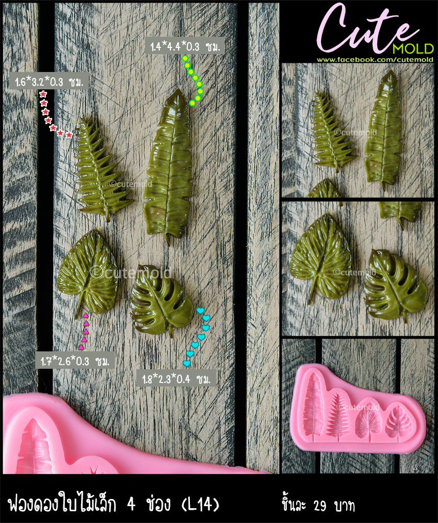 ฟองดองใบไม้เล็ก 4 ช่อง L14