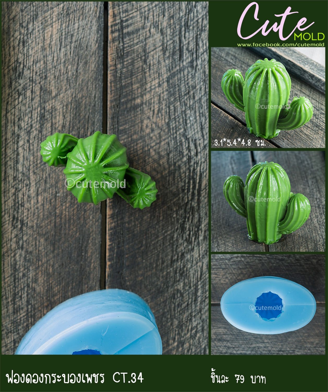 ฟองดองกระบองเพชร CT.34