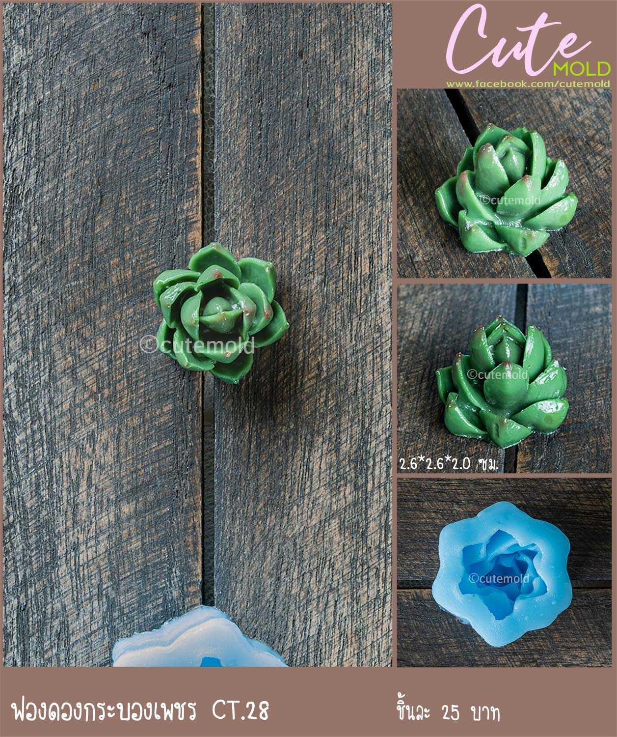 ฟองดองกระบองเพชร CT.28