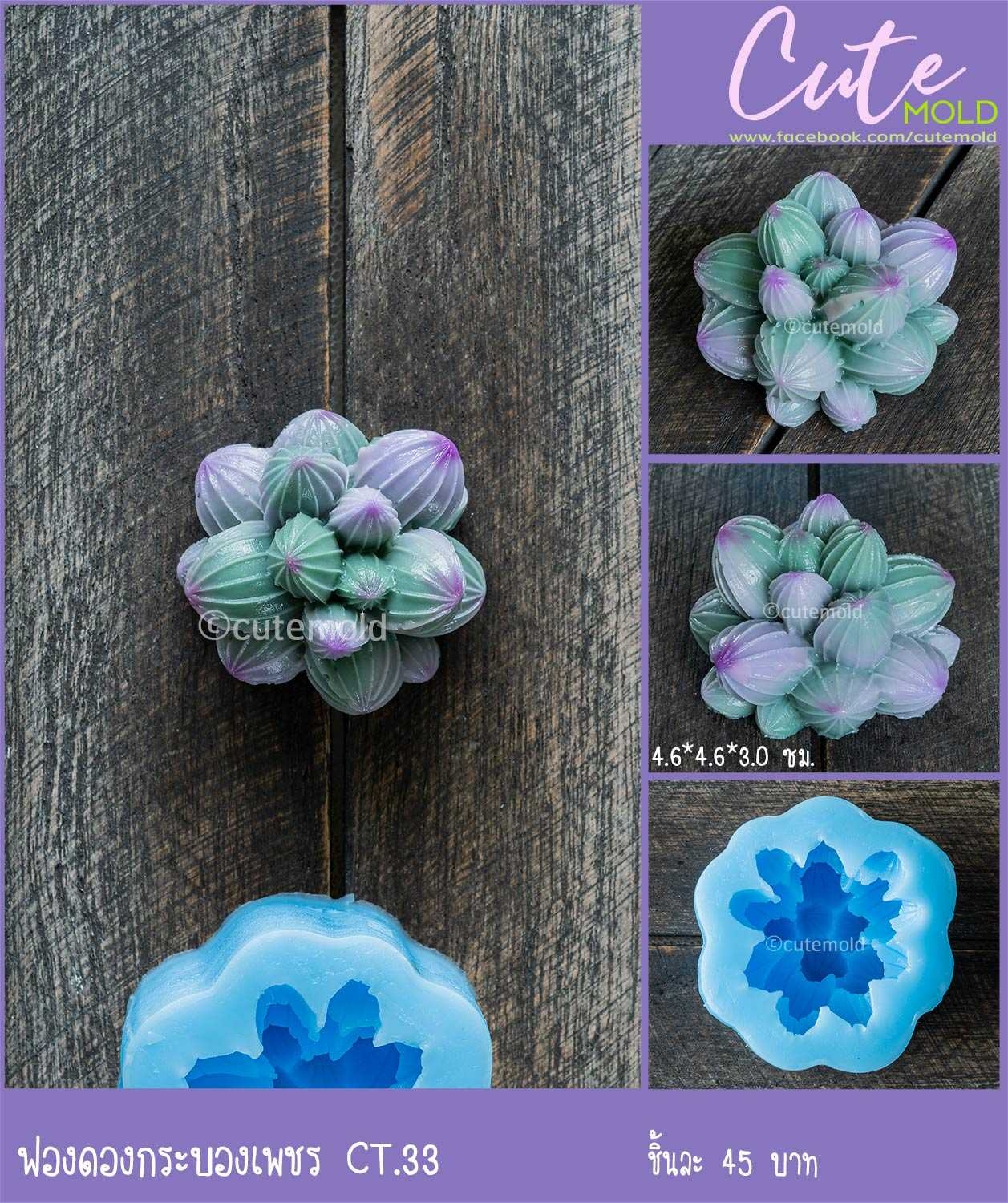 ฟองดองกระบองเพชร CT.33